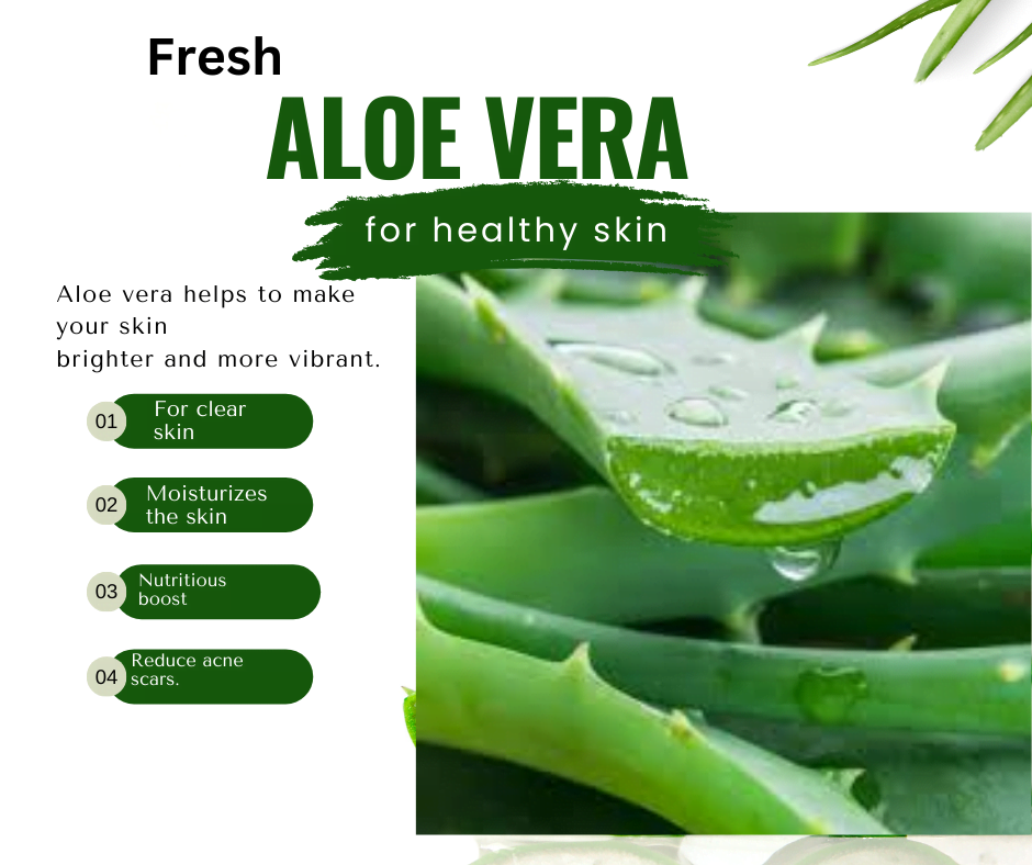AMAL Botanics Aloe Vera Gel & Leaves