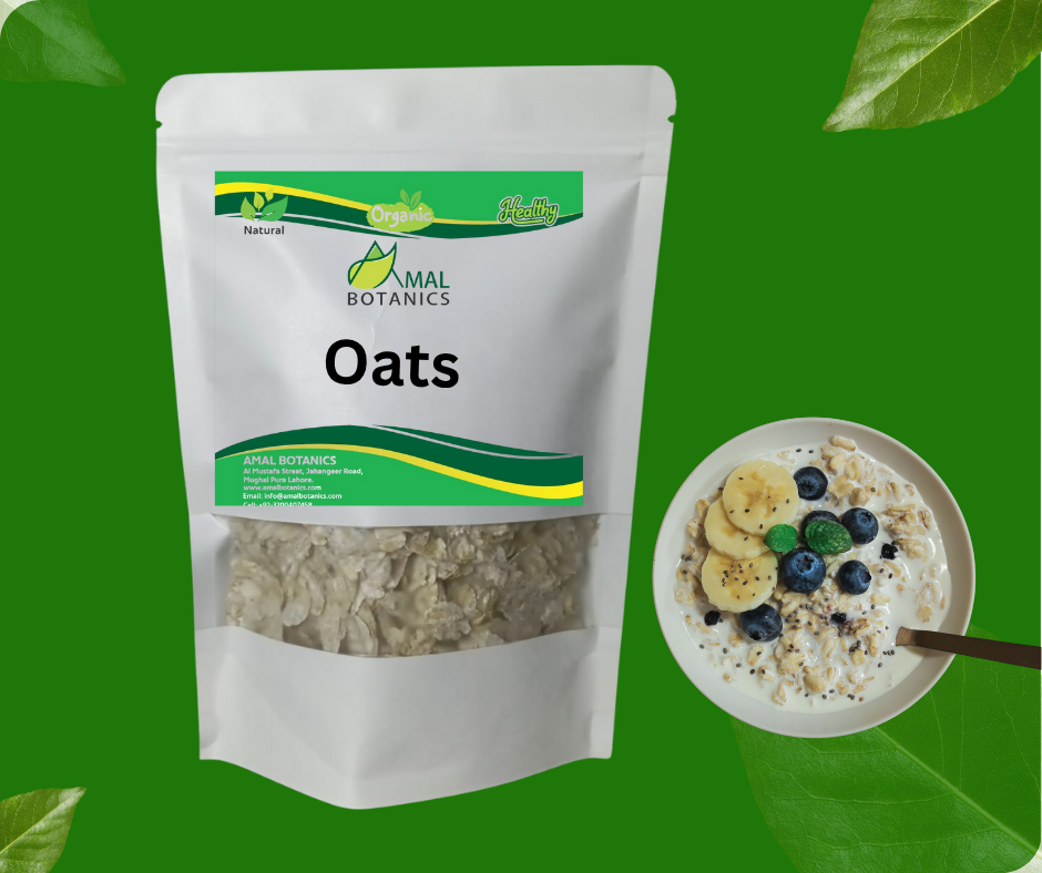 Organic Oats – Wholesome Goodness for Your Everyday Meals