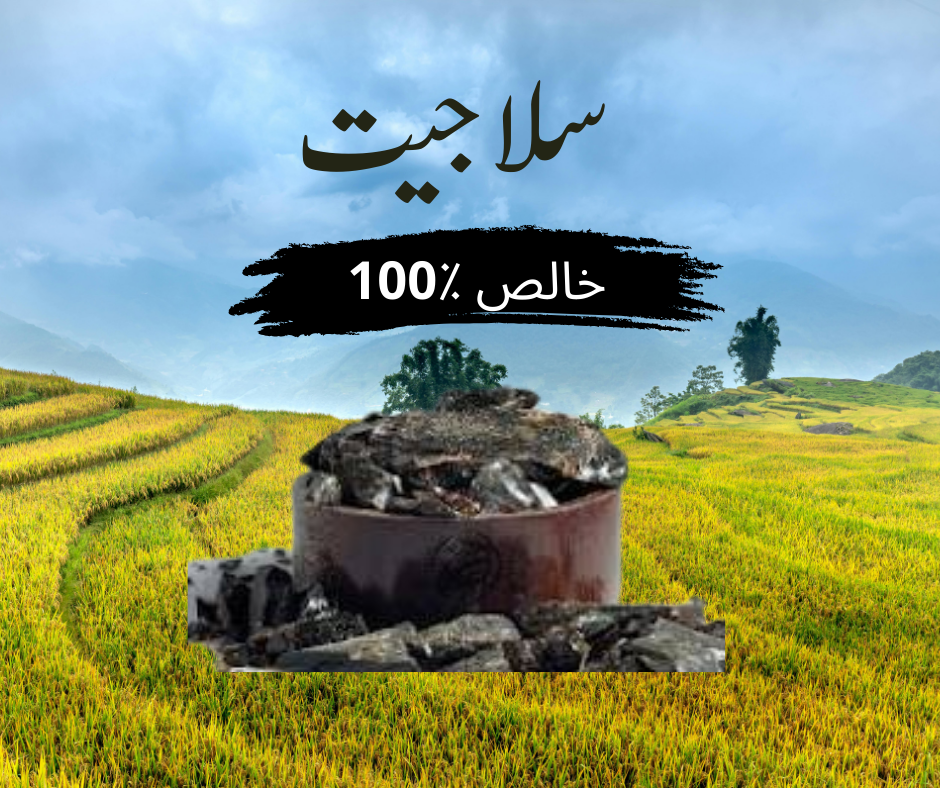 Pure Slajeet/ Shilajit (سلاجیت): Nature’s Ancient Source of Energy