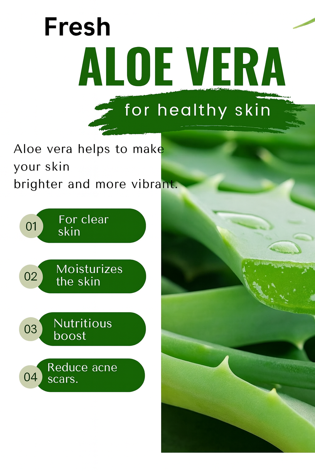 AMAL Botanics Aloe Vera Gel & Leaves